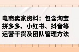 实战（14354期）电商卖家资料：包含淘宝、拼多多、小红书、抖音等运营干货及团队管理方法02-28中创网