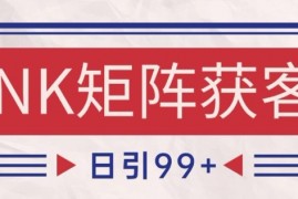 小红书某音NK赛道引流获客 自热矩阵日引200+【揭秘】