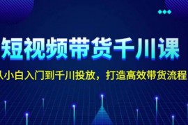 赚钱项目（13830期）短视频带货千川课，从小白入门到千川投放，打造高效带货流程12-27中创网