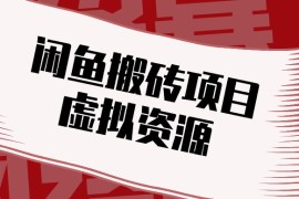 闲鱼虚拟资源搬砖副业，普通人可以做，低成本副业轻松月收益万元！