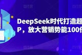 每天DeepSeek时代打造超级个人IP，放大营销势能100倍以上03-09冒泡网