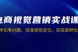 简单项目（13786期）电商视觉营销实战课，解决转化率问题，找准视觉定位，实现高转化目标12-24中创网