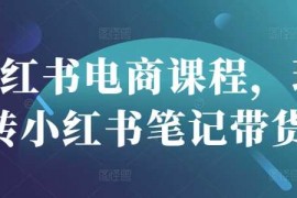 简单项目小红书电商课程，玩转小红书笔记带货03-17冒泡网