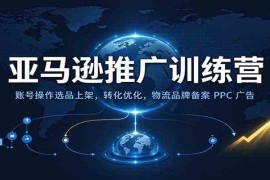亚马逊推广训练营：账号操作选品上架，转化优化，物流品牌备案PPC广告运营