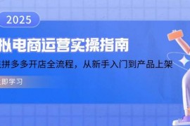 赚钱项目（14153期）虚拟电商运营实操指南，涵盖拼多多开店全流程，从新手入门到产品上架02-12中创网