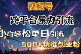 手机创业跨平台暴力引流，私域完美闭环，日引500+精准创业粉02-12冒泡网