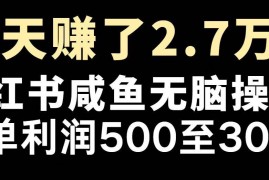 每日（14183期）最赚钱项目之一，2025爆火，逆风翻盘！02-14中创网