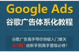 每天GoogleAds谷歌广告体系化教程，谷歌广告高手带你突破入门难关，从0到1由新手到高手晋级必修12-28冒泡网