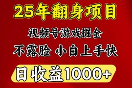 手机创业一天收益1000+25年开年落地好项目02-26福缘网