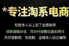 松鼠会电商VIP课程，从基础布局到高阶优化，助你掌握淘宝运营逻辑，提升店铺流量与转化（更新1029）