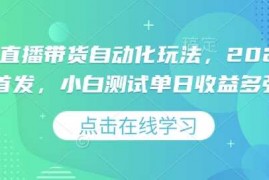 创业项目视频号直播带货自动化玩法，2025独家首发，小白测试单日收益多张【揭秘】02-17冒泡网