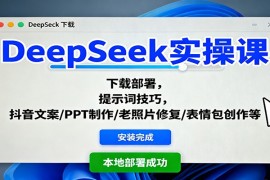 DeepSeek实操课：下载部署，提示词技巧，抖音文案/PPT制作/老照片修复/表情包创作等