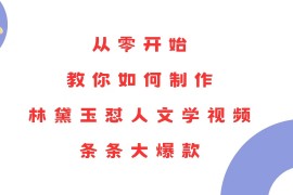 2024最新（13822期）从零开始，教你如何制作林黛玉怼人文学视频！条条大爆款！12-26中创网