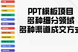 实战（13942期）PPT模板项目，多种细分领域，多种渠道成交方式，实操教学01-08中创网