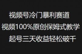 每天视频号冷门暴利赛道视频100%原创保姆式教学起号三天收益轻松破千03-02冒泡网