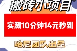 简单项目搬砖小项目，实测10分钟14元秒到，每天稳定几张(赠送必看稳定)01-14冒泡网