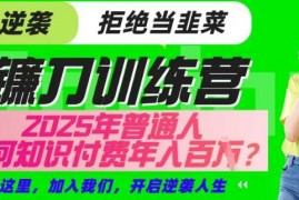 手机创业【网创项目终点站-镰刀训练营超级IP合伙人】25年普通人如何通过“知识付费”年入百个-仅此一版【揭秘】03-09冒泡网