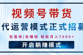 每日【视频号代运营】全程托管计划招募，躺赚模式，单月轻松变现7000+02-19福缘网