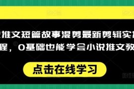 创业项目小说推文短篇故事混剪最新剪辑实操全流程，0基础也能学会小说推文教程，肯干多发日入多张02-26冒泡网