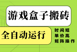 创业项目（14141期）游戏盒子全自动搬砖，时间短、单价高，矩阵操作02-11中创网