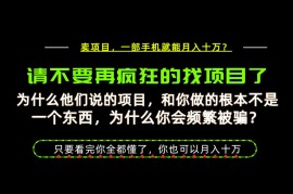为什么做项目的人大多都是炮灰？为什么只有卖项目才能稳？看完你也可以月入10W+【揭秘】
