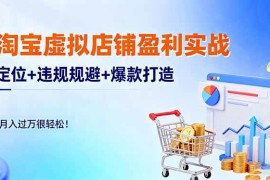 （16387期）淘宝虚拟店铺盈利实战：定位+违规规避+爆款打造，月入过万很轻松！