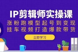 简单项目（13980期）IP剪辑师实操课：涨粉跑模型起号到变现，挂车视频打造爆款带货01-17中创网