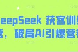 手机项目DeepSeek获客训练营，破局AI引爆营销03-08冒泡网