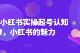 手机创业2025小红书实操起号认知课，小红书的魅力02-18冒泡网