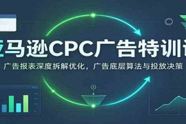 亚马逊CPC广告特训课：广告报表深度拆解优化，广告底层算法与投放决策【高阶】