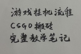 游戏挂G全流程笔记分享，CSGO游戏搬砖，小白看了当天学会见收益【揭秘】