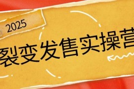 2025最新裂变发售实操营，全景解析裂变逻辑，打造动销新玩法，助力私域流量引爆03-09福缘网