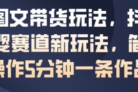 AI图文带货玩法，抖音母婴赛道新玩法，简单操作5分钟一条作品