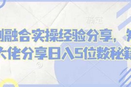 手机创业短剧融合实操经验分享，短剧大佬分享日入5位数秘籍02-12冒泡网