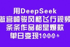 简单项目用DeepSeek做宫崎骏风格飞行视频，条条作品都是爆款，单日变现多张02-27冒泡网