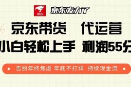 每天（13833期）京东带货代运营利润55分告别年终焦虑年底不打烊持续现金流12-27中创网