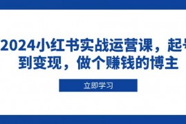 创业项目（13841期）2024小红书实战运营课，起号到变现，做个赚钱的博主12-28中创网