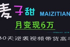 手机项目麦子甜30天逆袭视频带货高手，单月变现6W加特训营03-09冒泡网