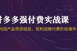 拼多多强付费实战课-44期，高利润产品项目经验，低利润微付费阶段操作