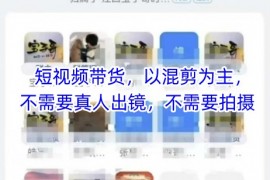 宝子哥头部团队短视频带货，以混剪为主，不需要真人出镜，不需要拍摄【更新】