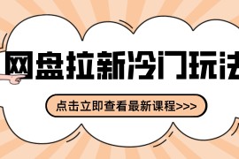 网盘拉新贴吧冷门玩法2-3天变现，实操细节全拆解快速上手拓展收益渠道