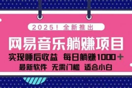 2025最新（14185期）2025最新网易云躺赚项目每天几分钟轻松3万+02-15中创网