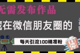 赚钱项目藏在微信朋友圈的流量密码，无需发布作品，单日引流100+精准创业粉【揭秘】12-28冒泡网