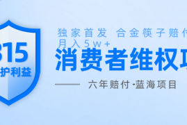 手机项目维Q赔付合金筷子玩法小白也能月入5w+风口项目实操01-23福缘网