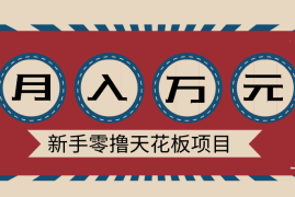 新手零撸天花板项目，网盘拉新零成本零门槛多种变现方式，轻松月入万元