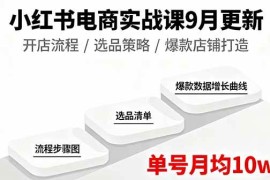 （16120期）小红书电商实战课9月更新，开店流程/选品策略/爆款店铺打造，单号月均10w+