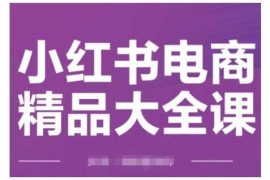 手机创业小红书电商精品大全课，快速掌握小红书运营技巧，实现精准引流与爆单目标，轻松玩转小红书电商02-03冒泡网