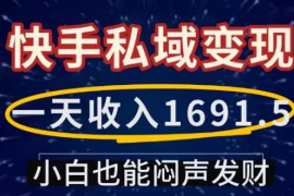 创业项目一天收入1691.5，快手私域变现，小白也能闷声发财01-10冒泡网