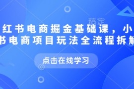 小红书电商掘金课，小红书电商项目玩法全流程拆解（更新5月）