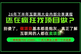 请不要再疯狂的找项目了！卖项目一单700-2.5k+不香吗？当天上手，当天变现！【揭秘】